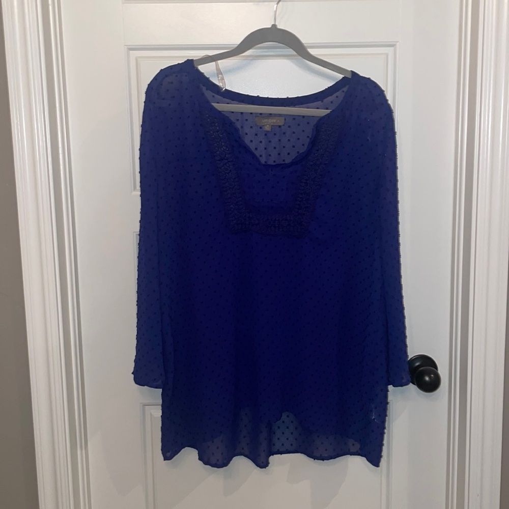 Umgee Sheer Blouse